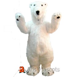 Bear Mascot